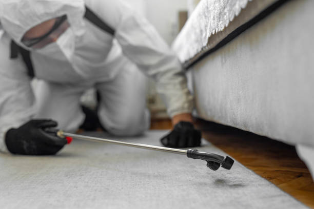 Professional Pest Control technician working in Madera County County, CA
